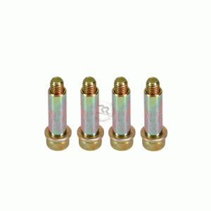 screw for brake pad (M6 x 30mm)