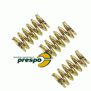 spring for rear brake pad