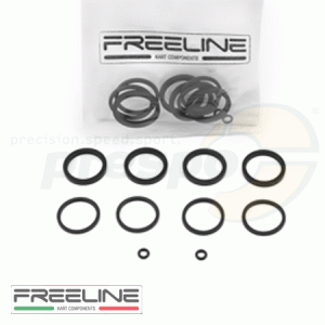 pic 13 kit of gaskets for brake caliper FREE-LINE  RR-125X2 H12