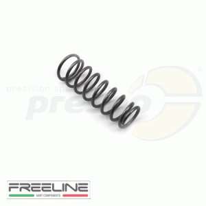 pic 06 spring for  brake pump FREE-LINE  model: 22SRR 
