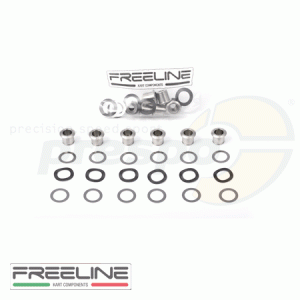 kit of bushing rear brake disc  FREE-LINE  