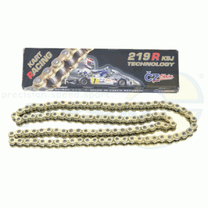 chain CZ-KSJ TECH  type: 219   length: 110 links