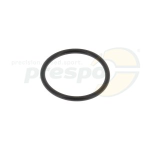 pic 31 O-Ring