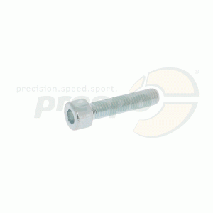 cylinder head-screw  M 8 x 35 mm