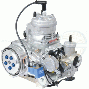 engine IAME PARILLA X30 Super Shifter   model 2023