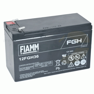 No. 291 12V Battery FIAMM 12FGH36 - IAME X30 up from 2013