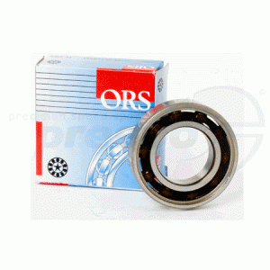 No. 131 Bearing 6005 ORS - IAME X30