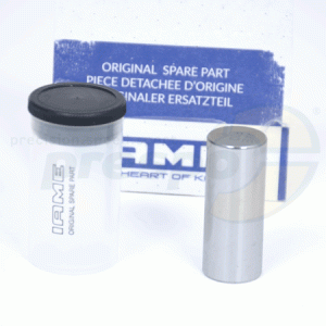 No. 81 Crankpin - Crankshaft IAME X30