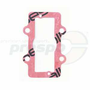 No. 175 Reed Valve Cover Gasket - IAME X30