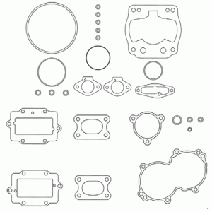 engine gasket kit IAME REEDSTER IV   version: OK