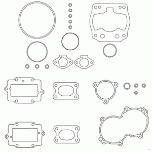 engine gasket kit IAME REEDSTER IV   version: OKJ