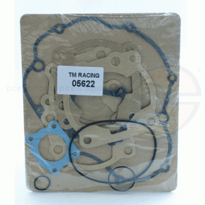 pic 01a gasket kit KZ TM10B