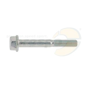 screw for semi housing CRG M8x60mm