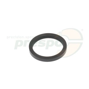 pic 08 piston seal