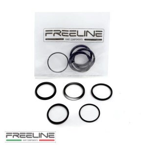 pic 14 kit of gaskets for 2-piston rear hydraulic caliper FREE-LINE  model: RR-132X2