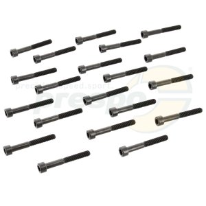 No. 151B Crankcase Screw M6 x 45 mm 20 Pack - IAME Leopard