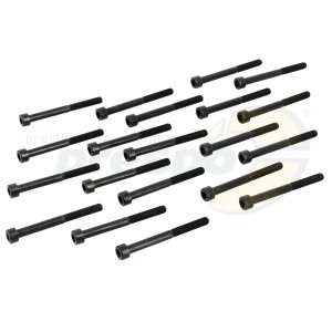 No. 81 Screw M6 x 60 mm 20 Pack - Crankcase IAME REEDSTER IV