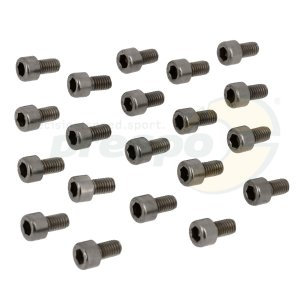 No. 03 Screw TCCE M6 x 10 mm 20 Pack - Cylinder IAME Screamer III