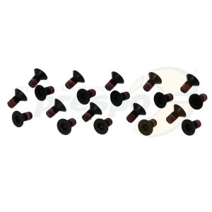 No. 64 Screw M5 x 10 mm TORX 20 Pack - Crankcase IAME Screamer III