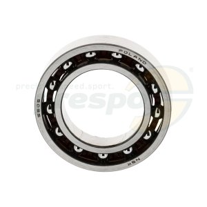 No. 318 Bearing 6905 - Shift Cam IAME Screamer III