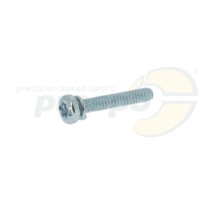 No. 16 Fuel Pump Body Screw - Carburetor Tillotson HW-27A - IAME X30