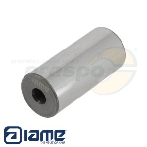 No. 29 crankpin IAME S125