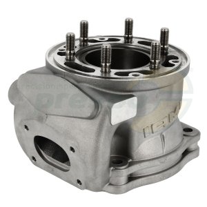 No. 25A Cylinder - IAME REEDSTER IV - OKJ