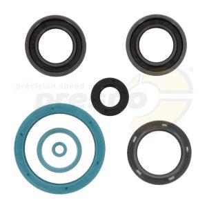 pic 02 Kit of oil seals TM  KZ10
