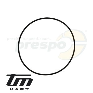 pic 07 o-ring cylinder head inside TM KZ10