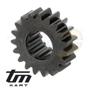 pic 31 primary chain pinion TM K9C