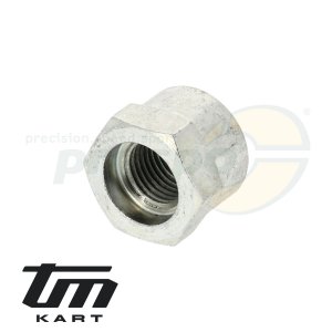 pic 33 nut crankshaft ignition side TM K9C