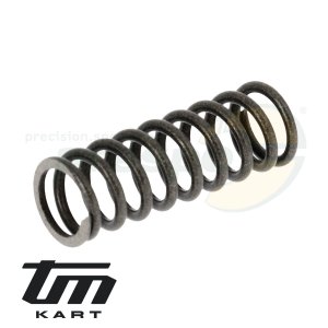 pic 04 spring  clutch TM KZ10