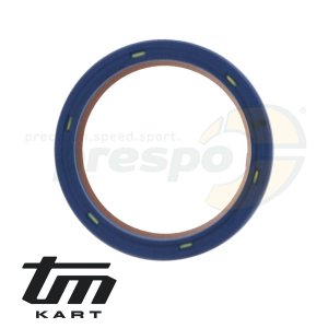pic 20 oil seal clutch drum TM KZ10