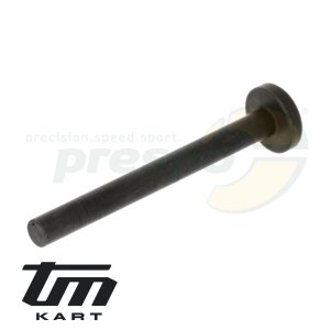 pic 33 clutch control rod TM KZ10 - with head 