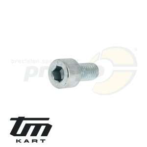 pic 32 screw for intake manifold TM KZ10