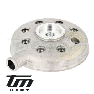 pic 06 cylinder head complete TM KZ10