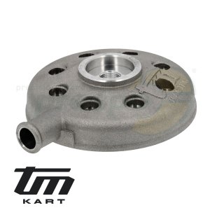 pic 04 cylinder head TM KZ10B  complete