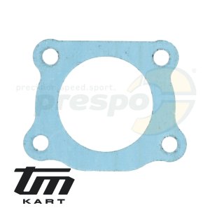 pic 10 gasket for exhaust manifold TM  KZ10