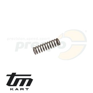 pic 19 spring for ratchet TM KZ R1