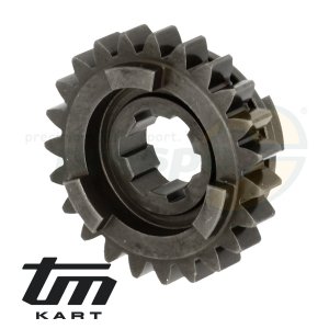 pic 48 gear wheel secondary shaft    5th  - TM KZ10