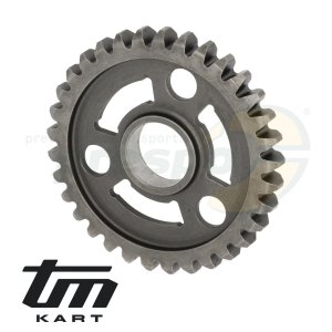 pic 50 gear wheel secondary shaft    1st  - TM KZ10