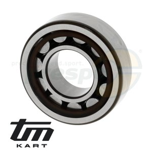 pic 22 bearing gear shaft TM KZ10B - roller bearing