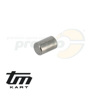 pic 02 needle pin crankcase TM KZ R1
