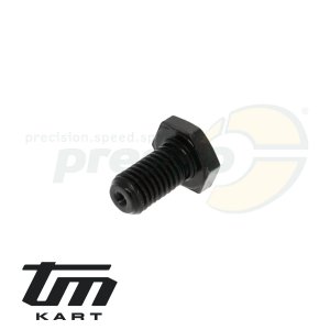 pic 12 hexagonal screw - primary disc clutch TM KZ10