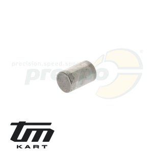 pic 56 needle pin crankcase TM KZ10