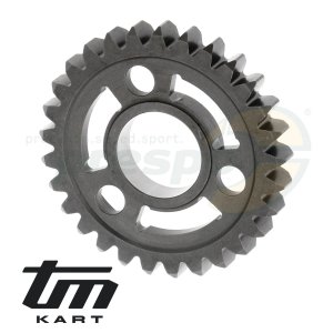 pic 08 gear wheel secondary shaft    2nd  - TM KZ10B  model: 2013