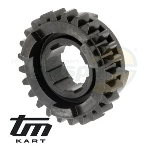 pic 11 gear wheel secondary shaft    6th  - TM KZ10B - model 2013