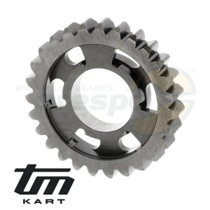 pic 15 gear wheel secondary shaft    4th  - TM KZ10B 2013