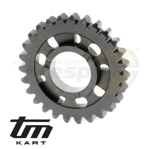 pic 16 gear wheel secondary shaft    3rd  - TM KZ10B - model 2013
