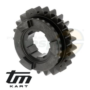 pic 17 gear wheel secondary shaft    5th  - TM KZ10B - model 2013